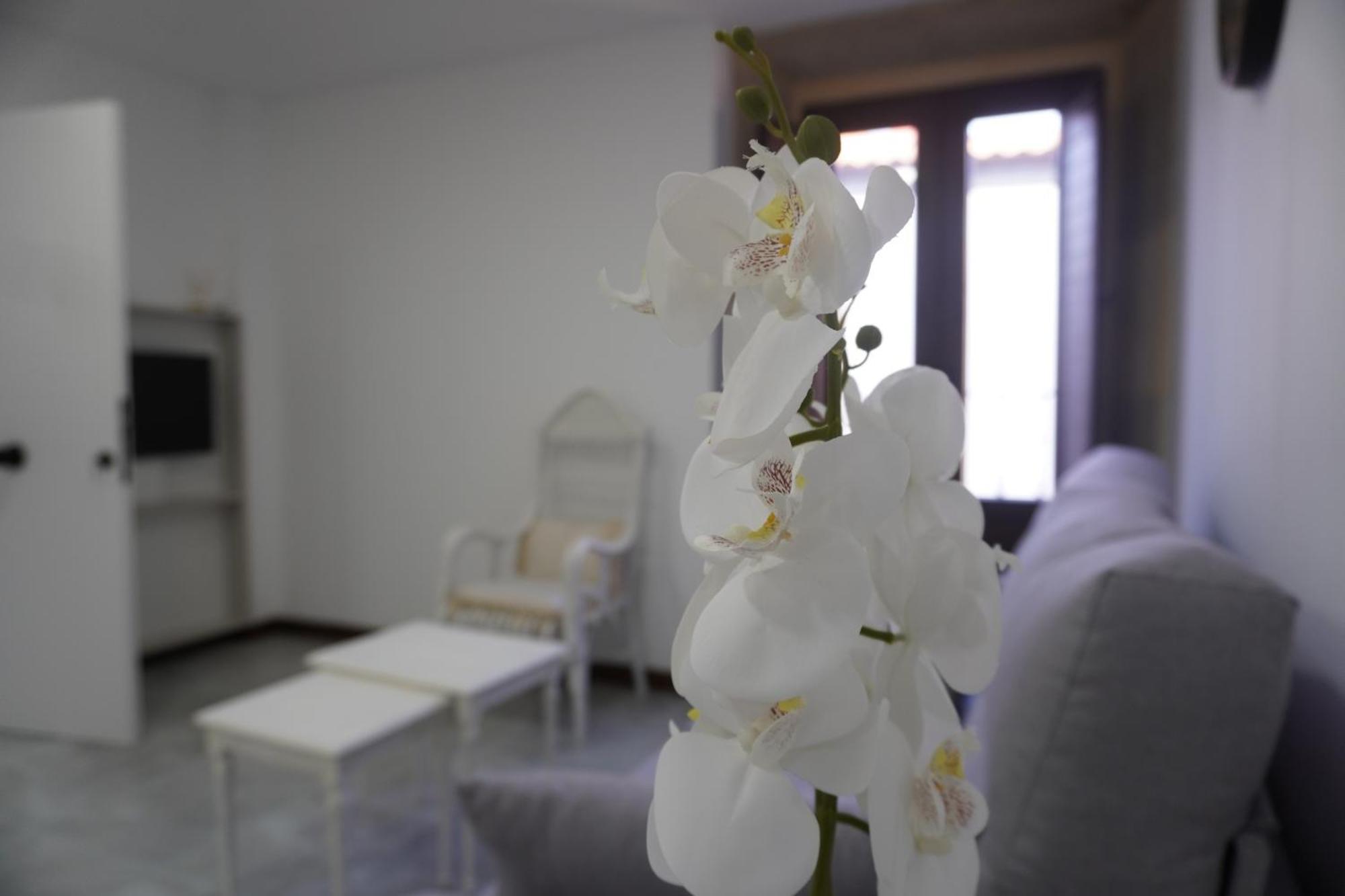 Apartamento Sanin 3 Lumbrales ภายนอก รูปภาพ