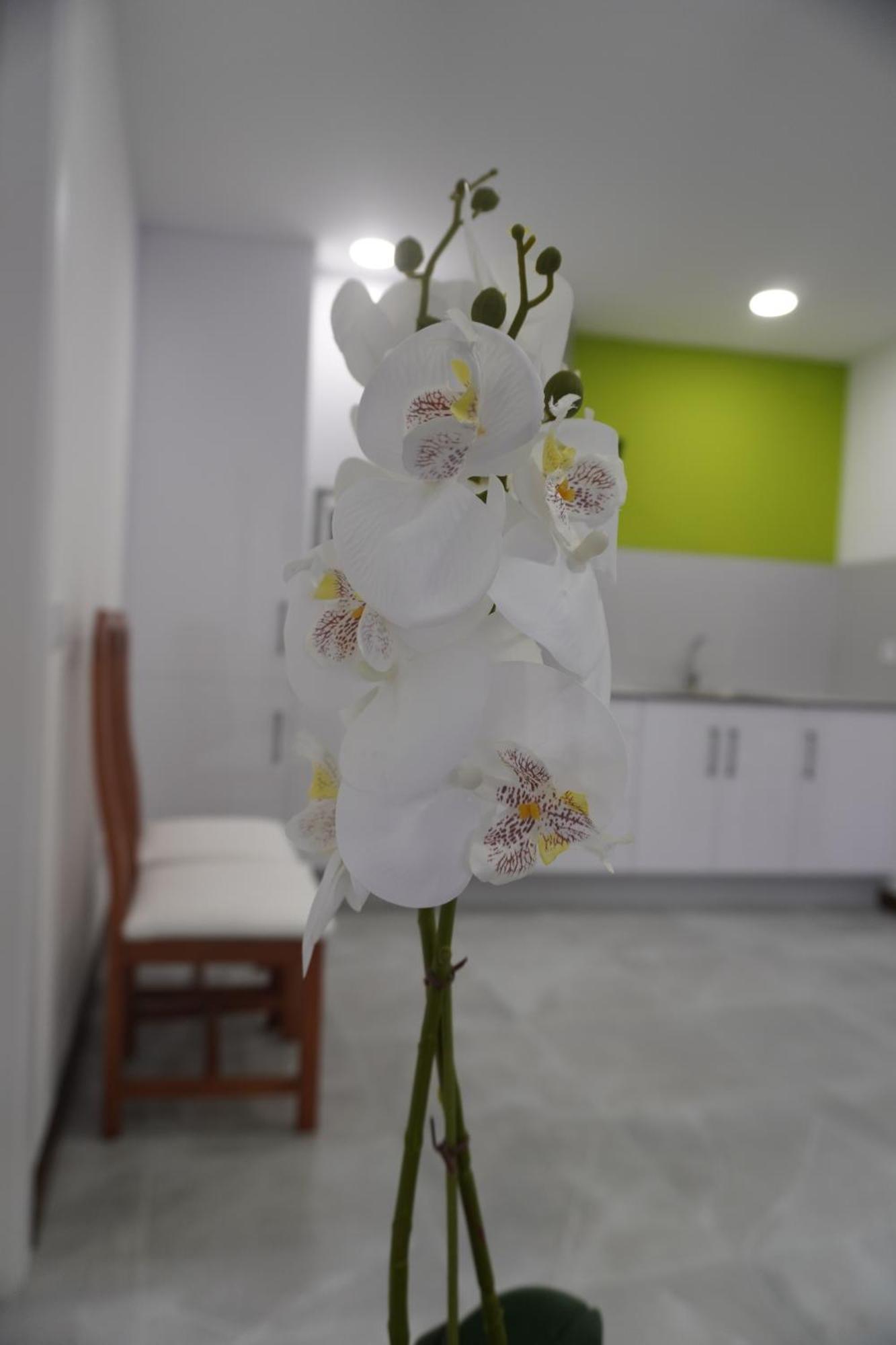 Apartamento Sanin 3 Lumbrales ภายนอก รูปภาพ